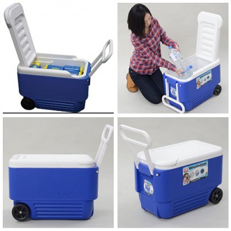 Arca Caixa Igloo Wheelie Cool 36lt